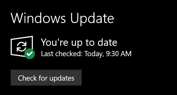 Pantalla Windows Update.