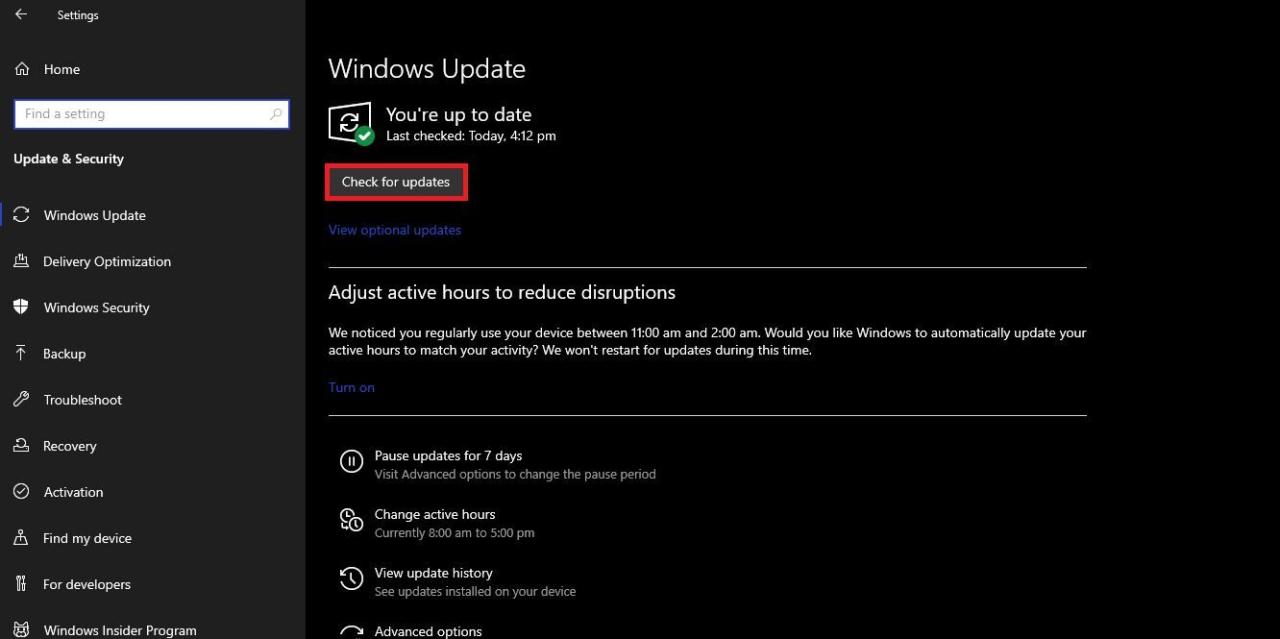 Comprobador de actualizaciones de Windows