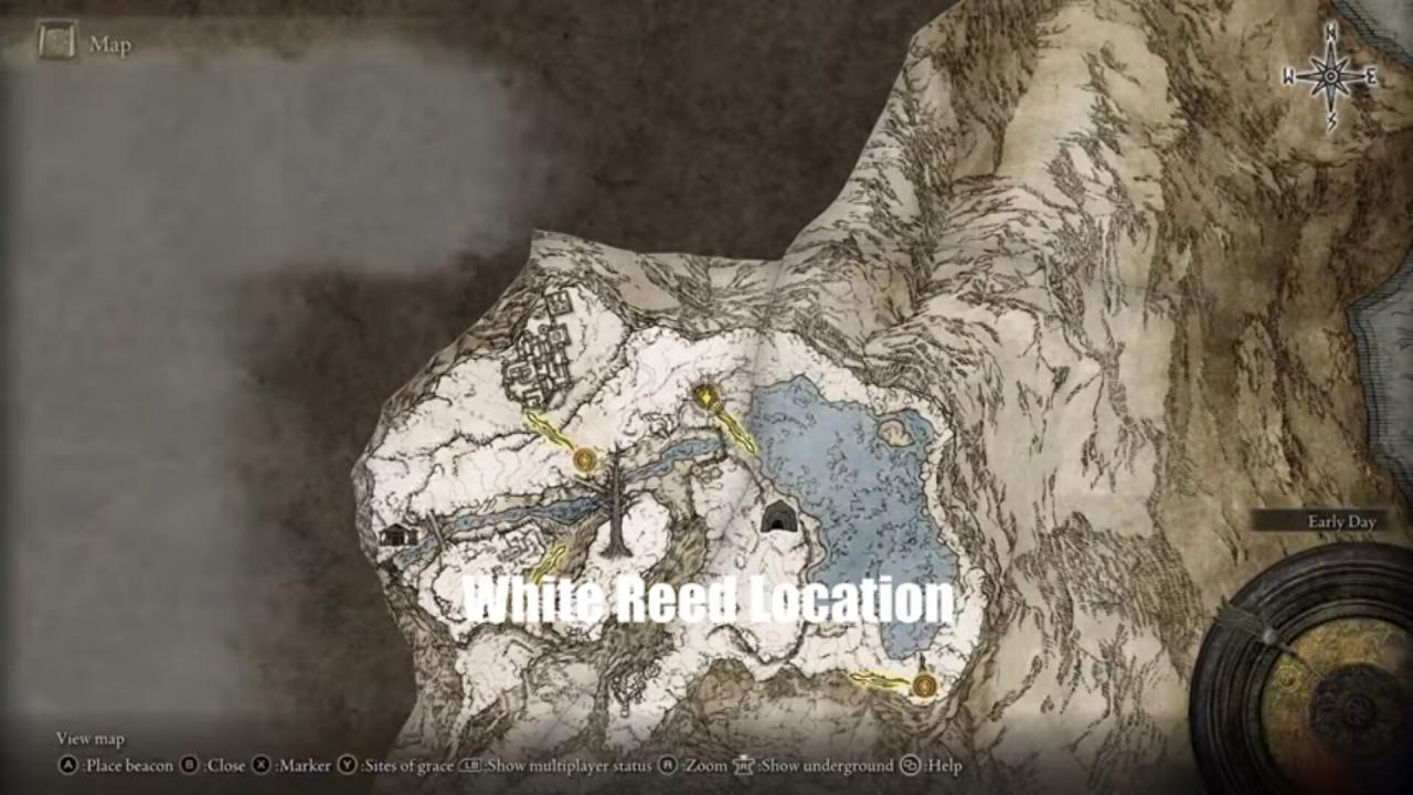 Ubicación de White Reed