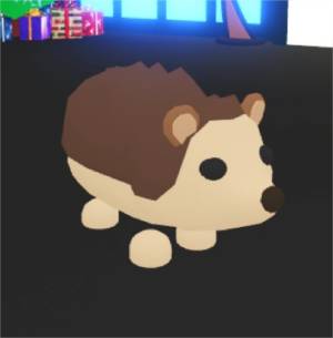 ウニ adopt me