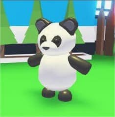 Panda Adopt Me troeteldier