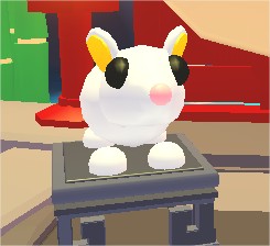 黄金のネズミ adopt me