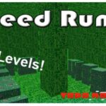 Códigos para Speed Run 4